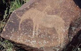 wildebeest-kuil-rock-art-centre